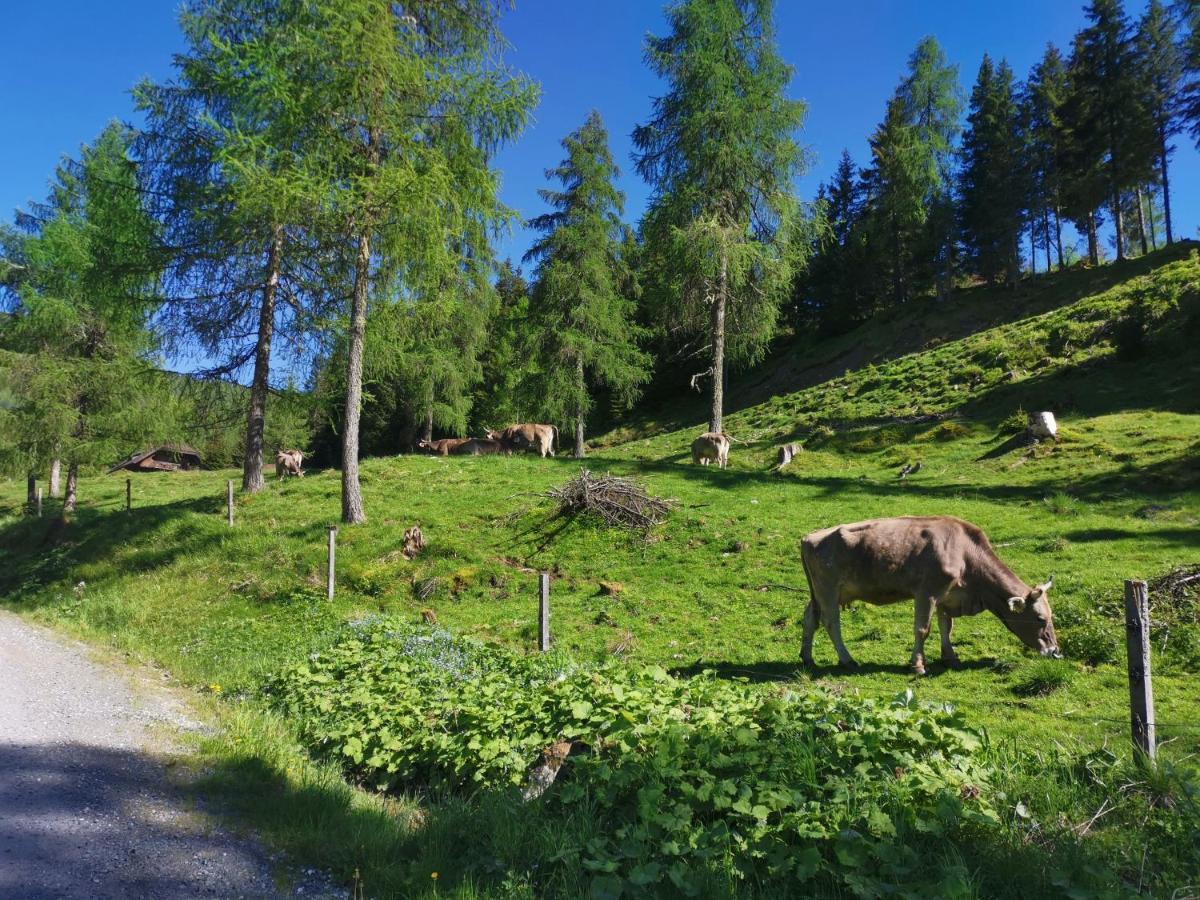 Haus Klinsterwald แซงค์ท ออสวอลด์ ภายนอก รูปภาพ